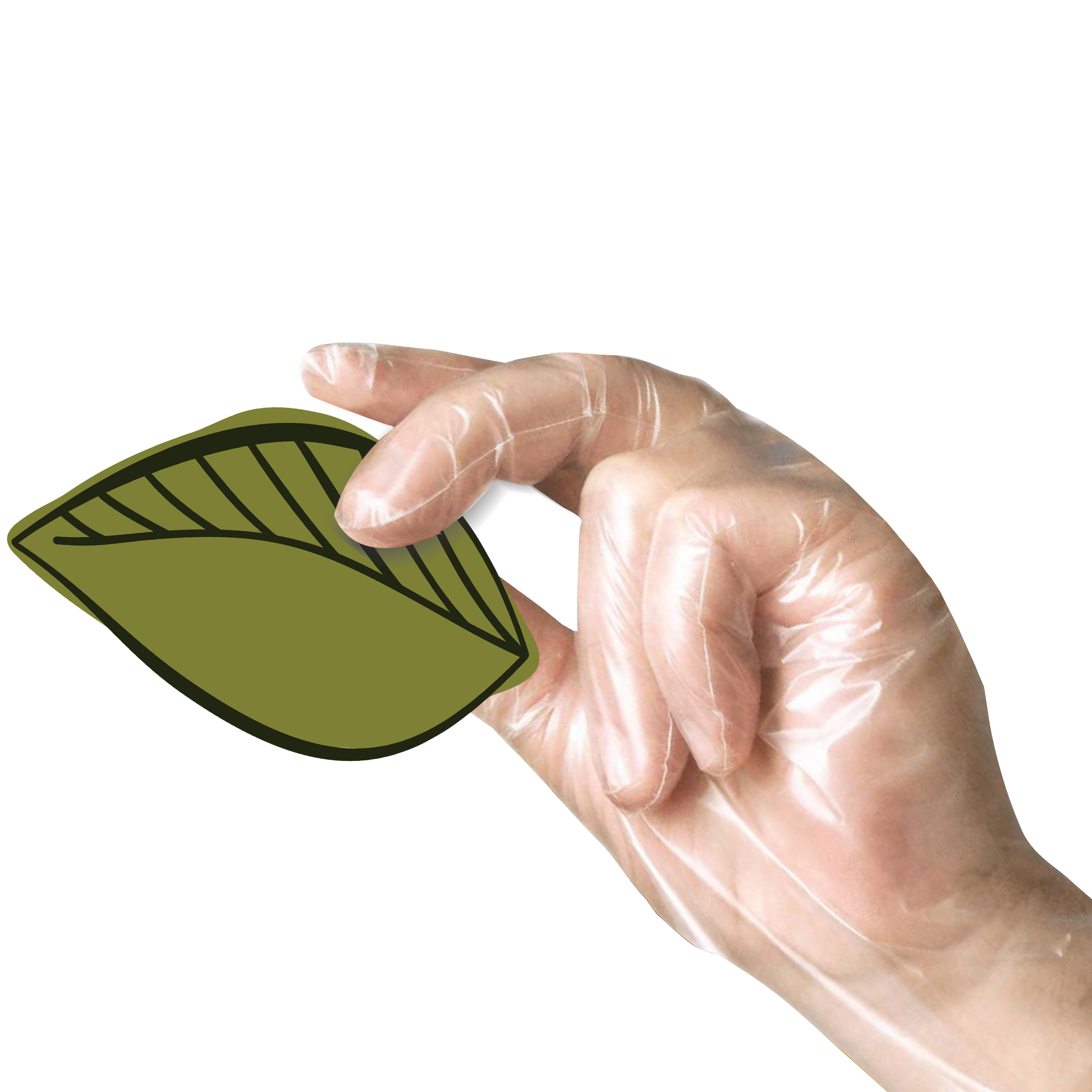 Eco Compostable Gloves