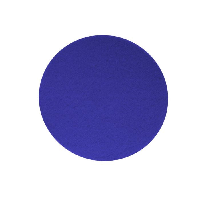 Blue Floor Pad 18